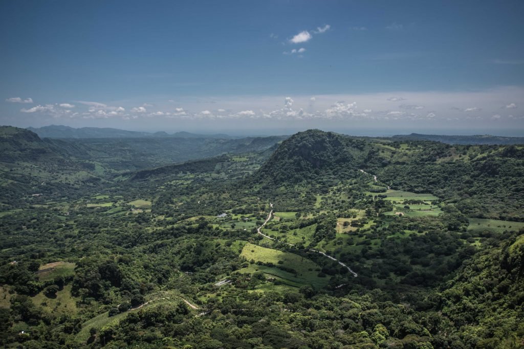 En esta tierra no solo se siembra y cosecha el café, sino que también existen plantas para desplumarlo, secarlo y tostarlo para que los granos estén listos para llegar a tu taza de café. 