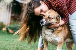perros-rescatistas-adoptar-mexico calmar la ansiedad tener un perro