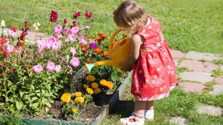 Alergia estacional, 4 tips para evitarla y reducir síntomas