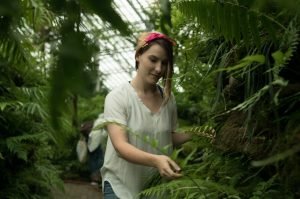 plantas fáciles de cuidar planes