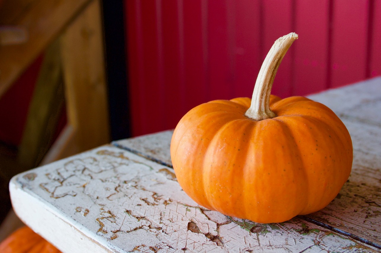 Esta botana en forma de calabaza es lo que adornará tu mesa de Halloween